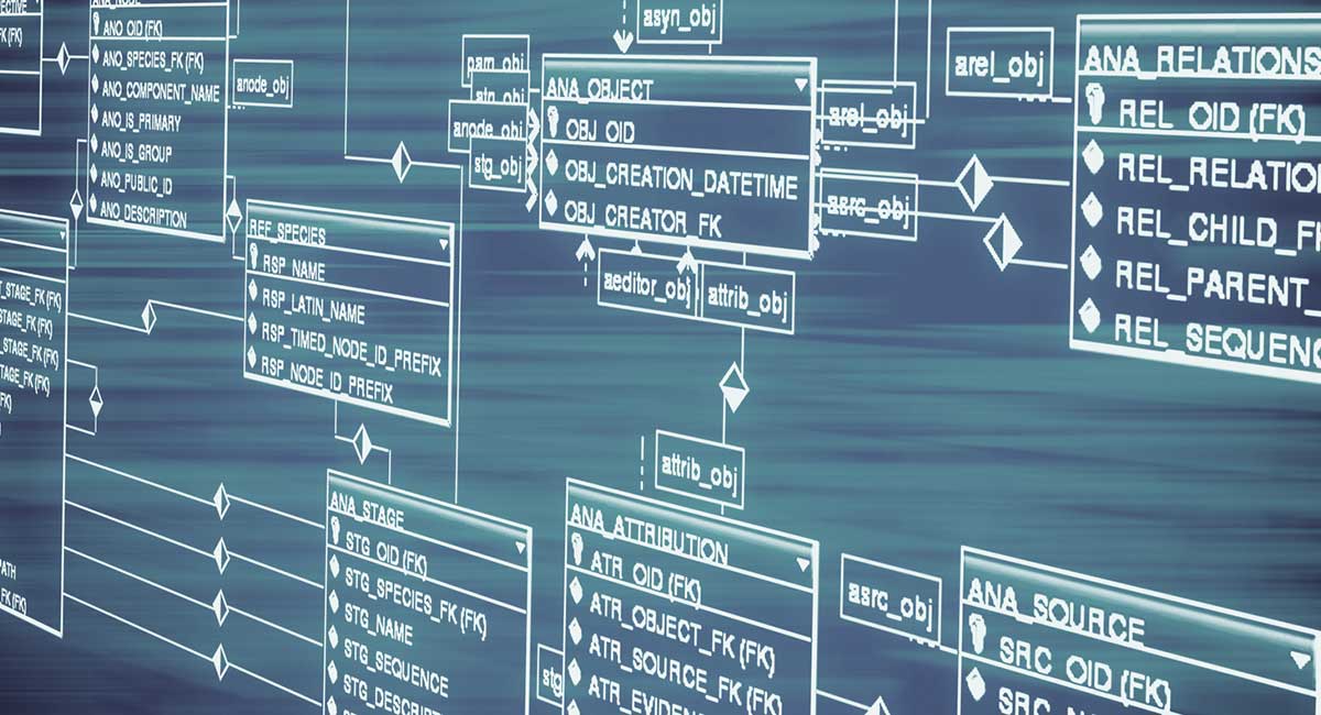 all hosting plans come with MySQL databases, PHPMyAdmin, and MySQL Database Wizard